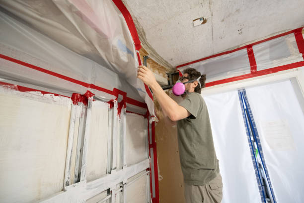 Best Residential Mold Inspection & Testing  in Columbus Af, MS